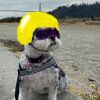 Doug Lee, LD4 Photo